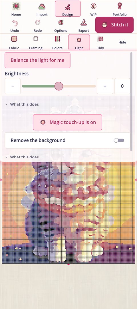 The Light card in Basic: Balance the light for me, a Brightness slider, Magic touch-up, and Remove the background last