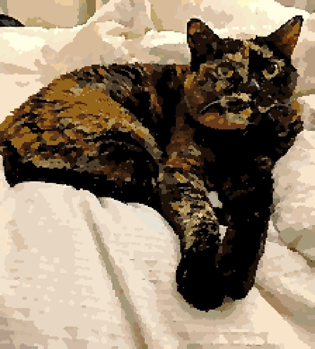 The chart of a tortoiseshell cat lying on white bedding, as colored squares
